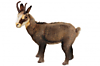 Антропоморфное животное "Коза" 32 см 