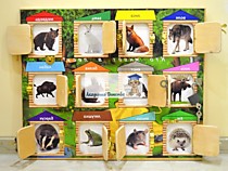 Игрушки развивающие многофункциональные, бизиборд торговой марки «Академия Детства» "Животные леса"
