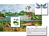Магнитный плакат Водоем: биоразнообразие и взаимосвязи в сообществе"