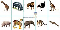 Долговечные карточки"Животные африки"