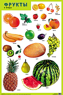 Плакат "Фрукты и ягоды"