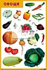Плакат "Овощи"