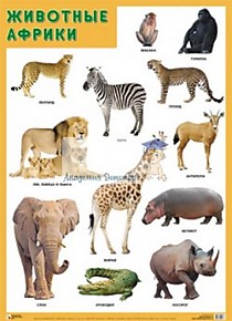 Плакат "Животные Африки"