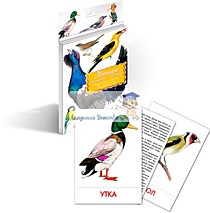 Дидактические карточки "Птицы наших лесов"